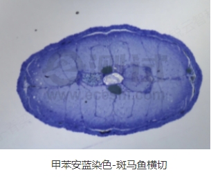 微信截图_20240719163409