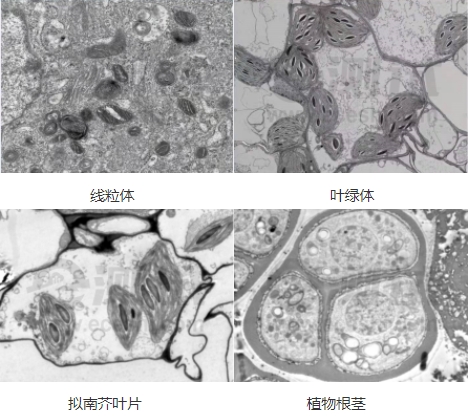 微信截图_20240719155000