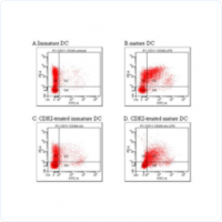 流式细胞分析仪（Flow Cytometry）